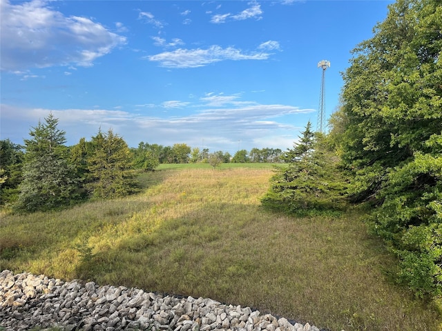 view of local wilderness