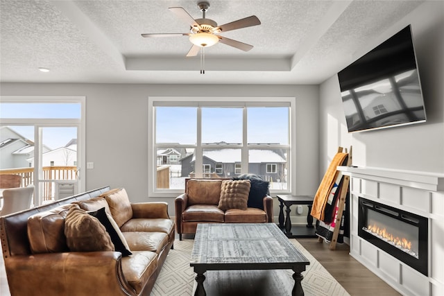 living room with a textured ceiling, dark hardwood / wood-style floors, and a raised ceiling