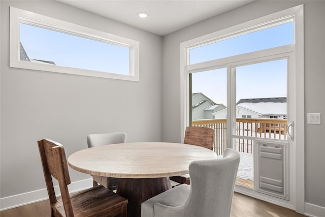 dining room with a wealth of natural light and wood-type flooring