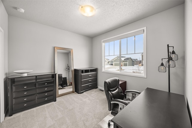 office with light carpet and a textured ceiling