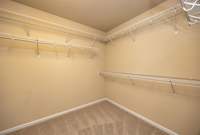 spacious closet with carpet floors