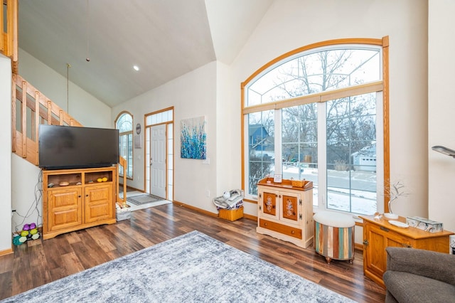 living area featuring baseboards, plenty of natural light, high vaulted ceiling, and wood finished floors