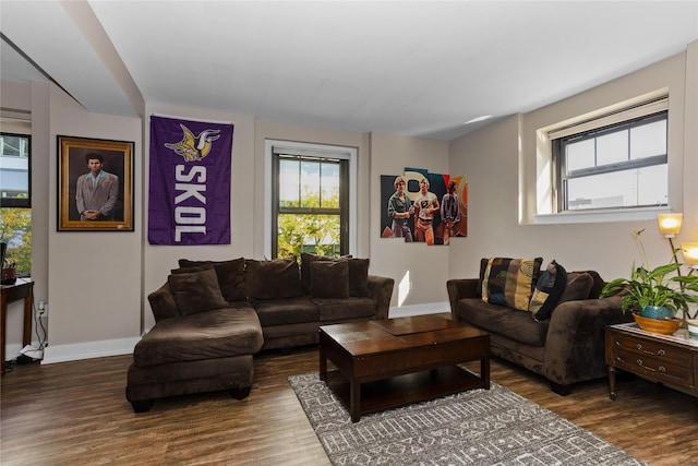 living room featuring baseboards and wood finished floors