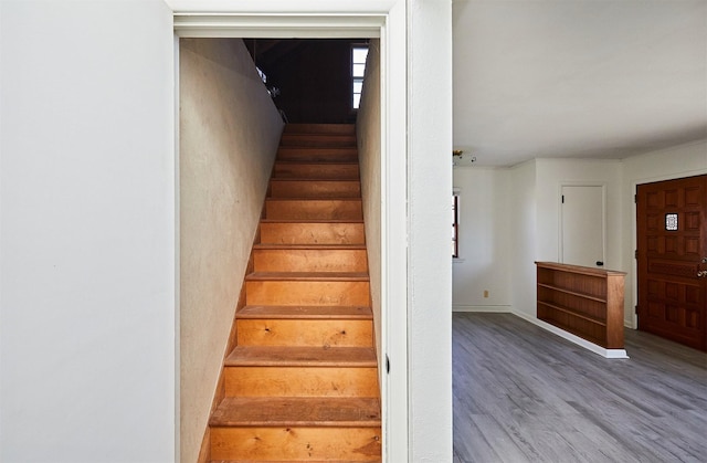 staircase featuring hardwood / wood-style flooring