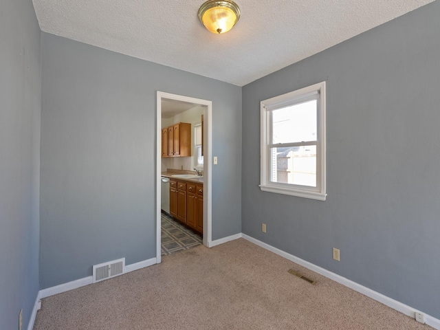 carpeted empty room featuring sink and a textured ceiling