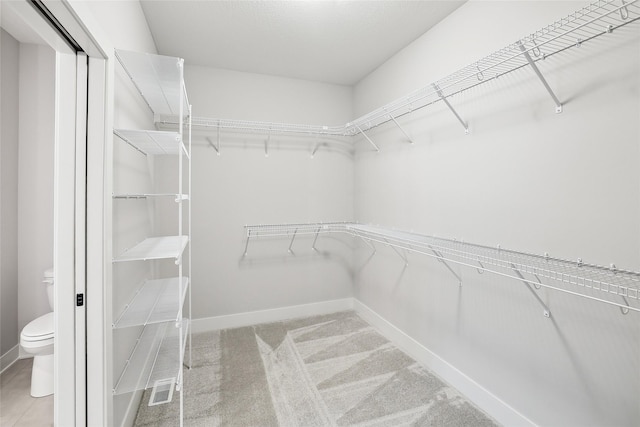 view of spacious closet