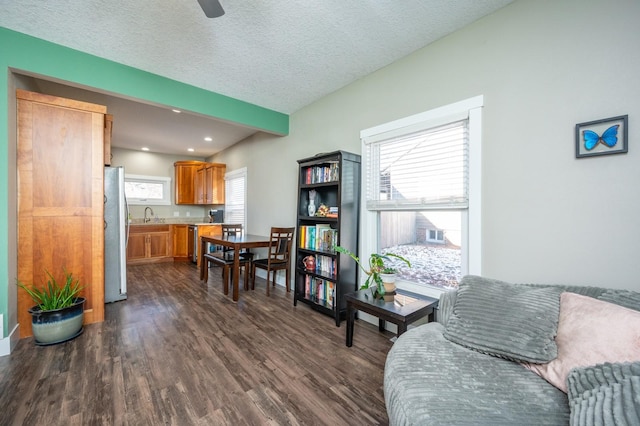 sitting room with plenty of natural light, dark wood-type flooring, and a textured ceiling