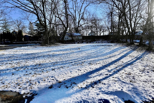 view of yard layered in snow