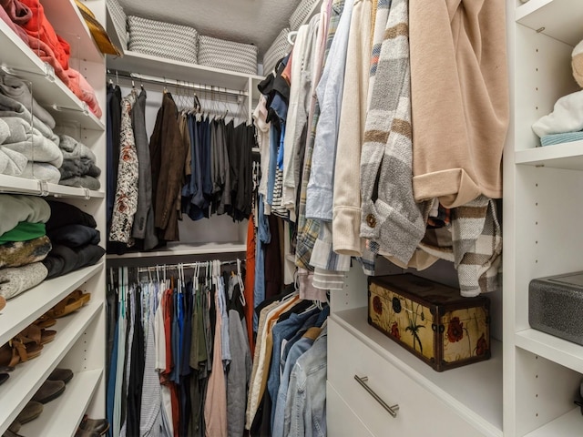 view of walk in closet