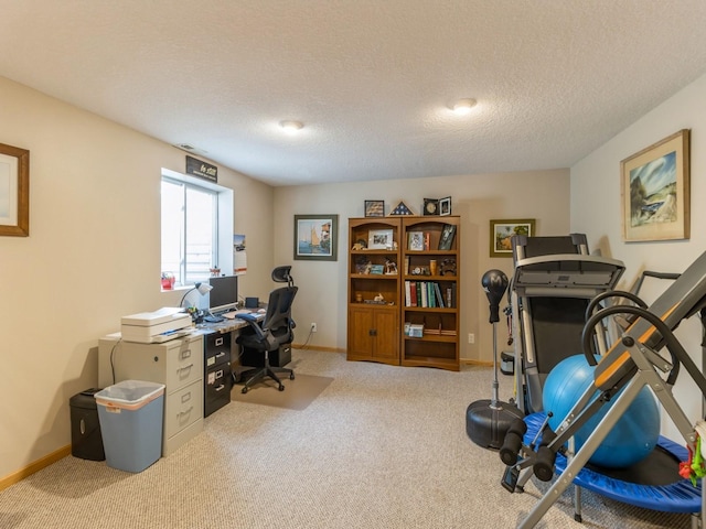 office space with light colored carpet and a textured ceiling