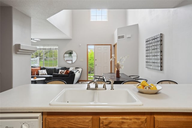 756 SE Williams Ct, Waukee, IA 50263 - kitchen featuring a sink, healthy amount of natural light, dishwasher, light countertops, and a high ceiling