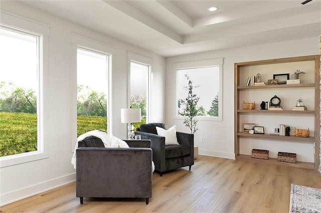 living area with light hardwood / wood-style flooring