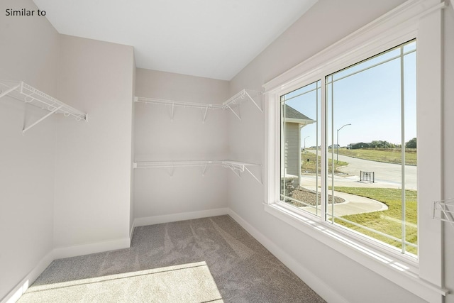 spacious closet with carpet flooring