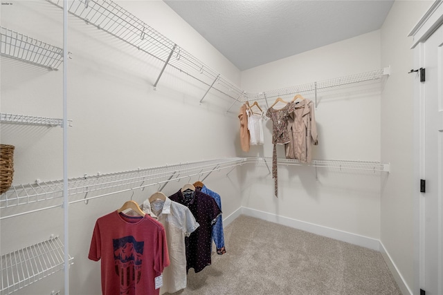 walk in closet with carpet floors