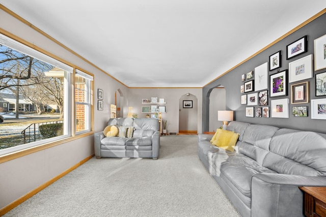 living room featuring carpet floors and crown molding