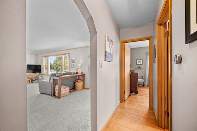 hall with light colored carpet and ornamental molding