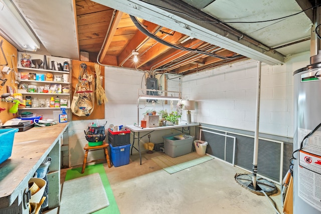 basement featuring gas water heater