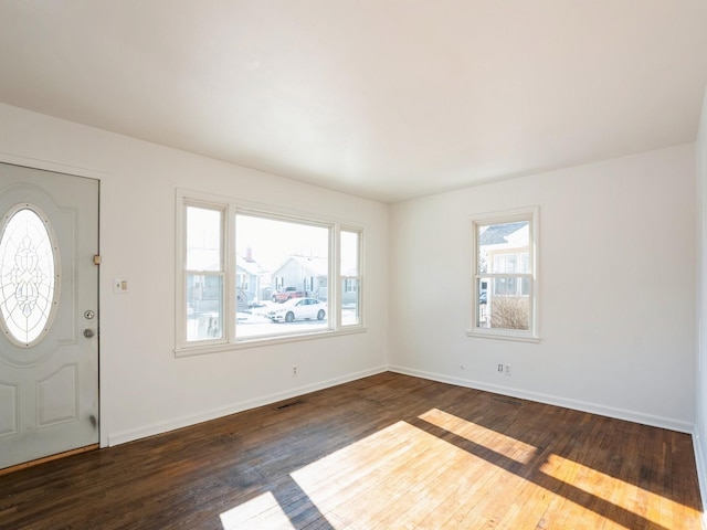 foyer with plenty of natural light and dark wood-type flooring