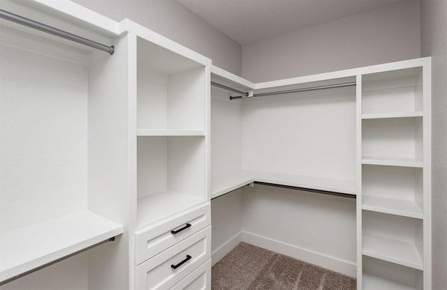 walk in closet with carpet floors