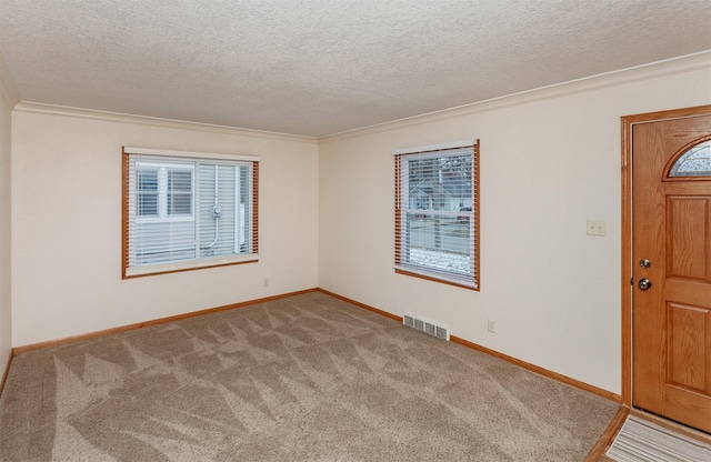 carpeted empty room with crown molding and a textured ceiling