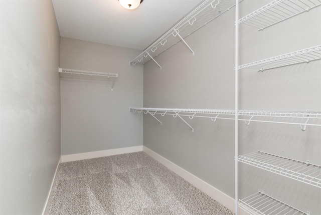 spacious closet featuring carpet flooring