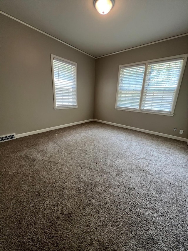 carpeted empty room featuring crown molding and a wealth of natural light