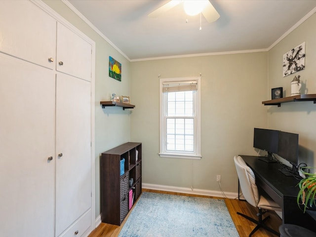 office space featuring light hardwood / wood-style flooring, ceiling fan, and ornamental molding