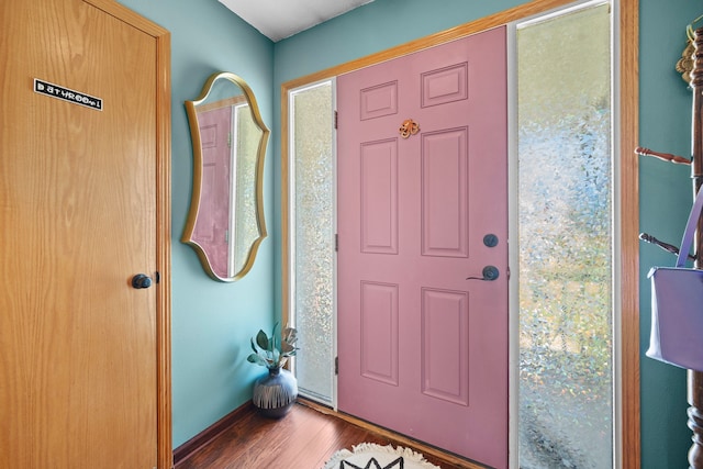 foyer entrance featuring dark wood-type flooring