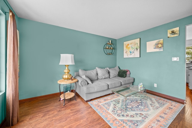 living room with wood-type flooring