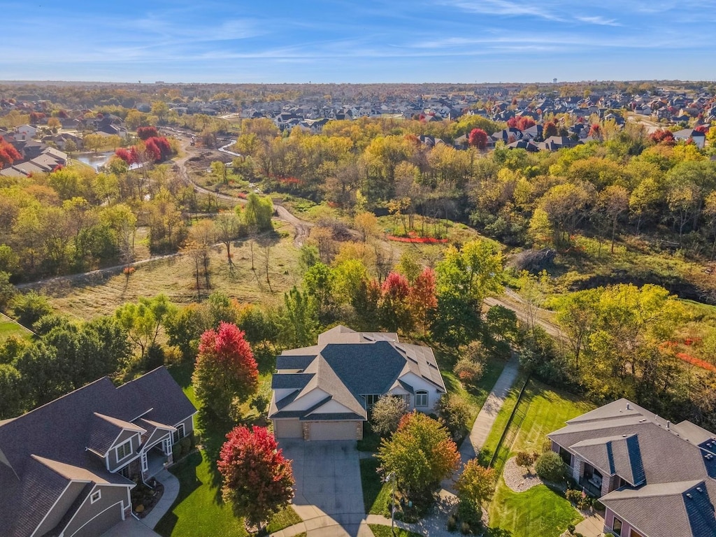 bird's eye view