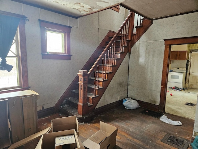 stairway featuring hardwood / wood-style flooring