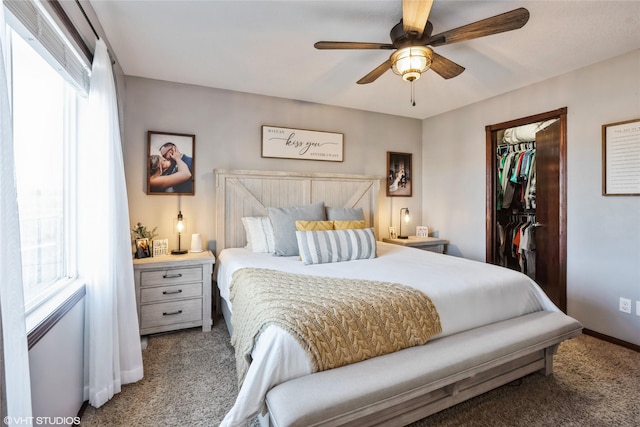 bedroom featuring carpet flooring, a spacious closet, a closet, and ceiling fan