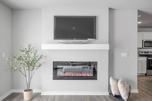 interior details featuring stainless steel appliances, a glass covered fireplace, baseboards, and wood finished floors