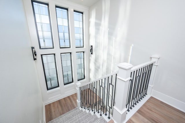 stairway featuring wood-type flooring