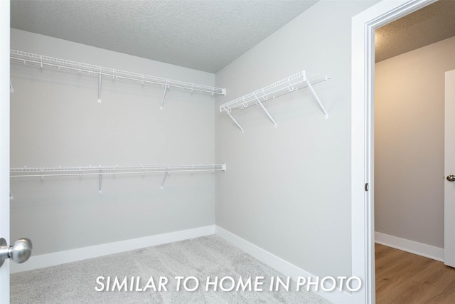 view of walk in closet