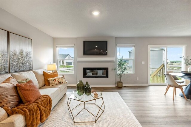 living area featuring a glass covered fireplace, baseboards, and wood finished floors