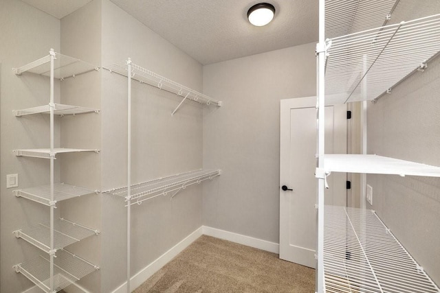 walk in closet featuring carpet