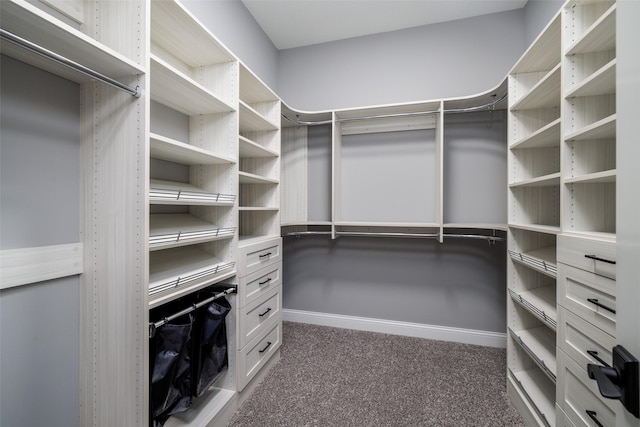 walk in closet featuring dark carpet