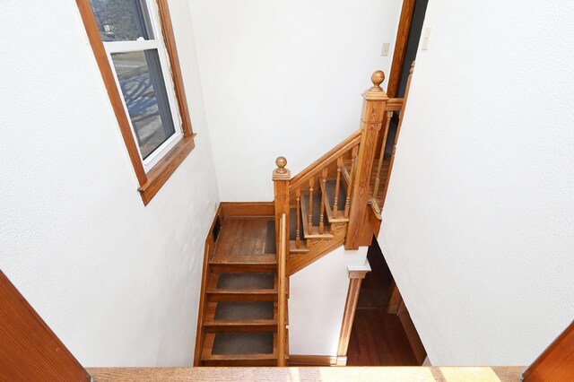 staircase with a healthy amount of sunlight