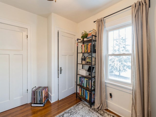 interior space with dark wood-type flooring