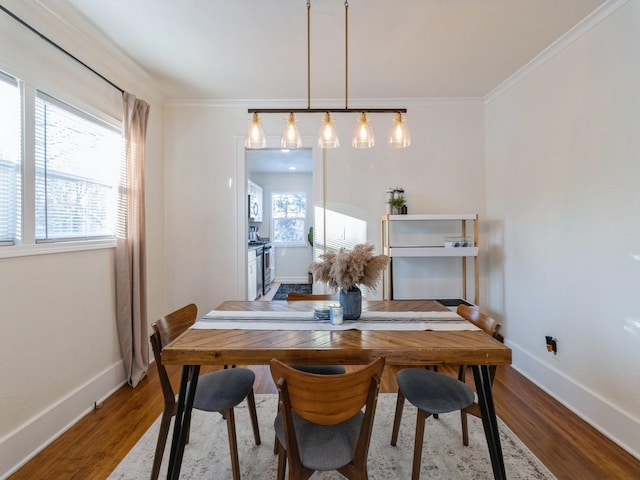 dining space with ornamental molding and wood-type flooring