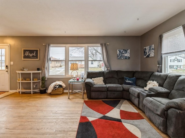 living room with light hardwood / wood-style flooring