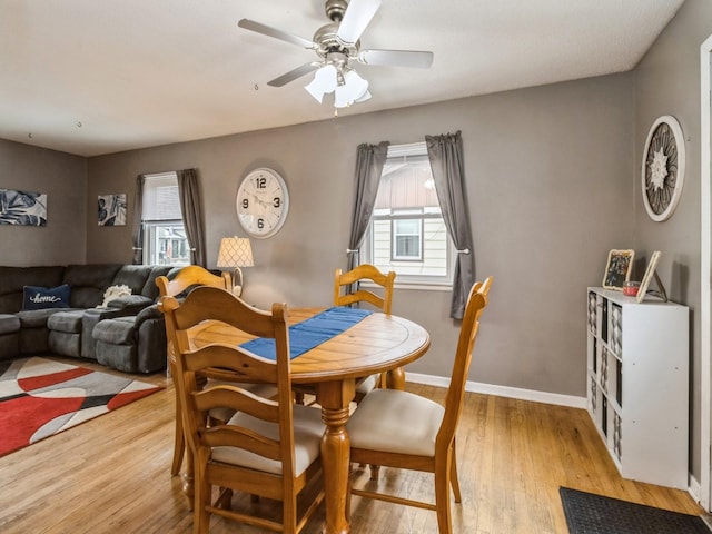 dining space with ceiling fan and light wood-type flooring