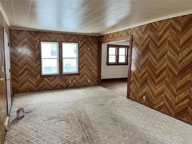 additional living space featuring carpet floors