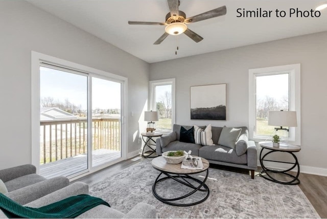 living room with ceiling fan, a healthy amount of sunlight, and hardwood / wood-style floors