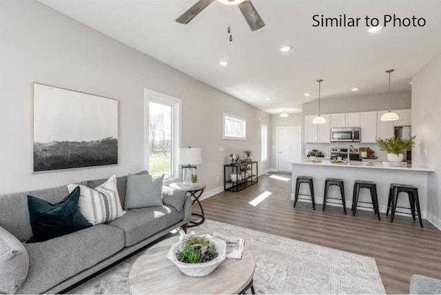 living room with ceiling fan, dark hardwood / wood-style flooring, and sink