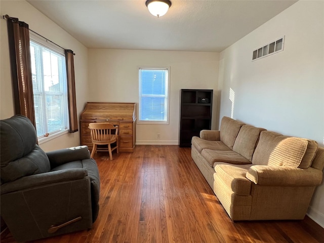 living room featuring wood-type flooring