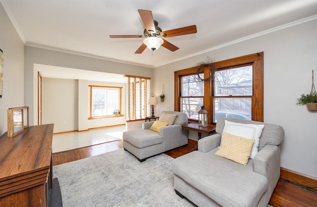 living room with ceiling fan, dark hardwood / wood-style flooring, and crown molding