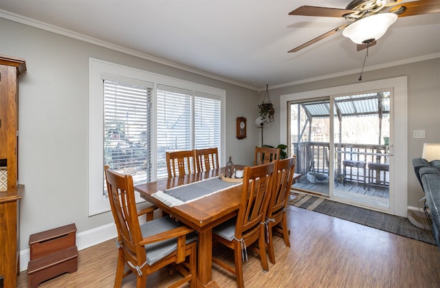 dining space with ceiling fan, crown molding, and wood-type flooring