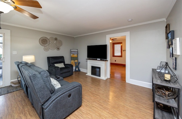 living room featuring ceiling fan, crown molding, and hardwood / wood-style flooring